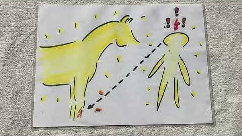 Stay cool during crisis