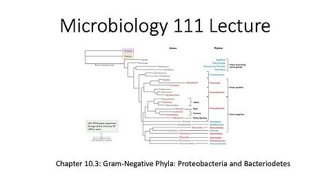Micro 111 Chapter 10.3 Lecture Video