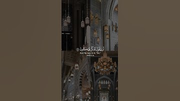 أوليس الذي خلق السماوات و الأرض بقادر  من سورة يس بصوت الشيخ الوليد الشمسان