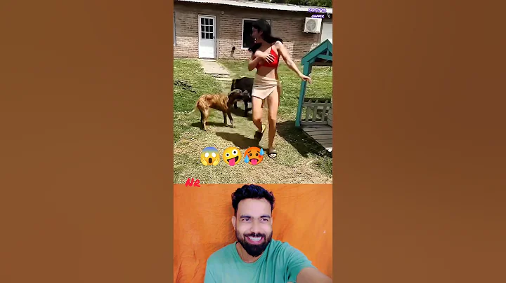 Video 10769601: laugh cats funny animal, funny cat attacks, laugh cats dogs funny, pets funny animals