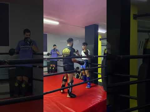 Boks Antrenmani