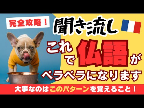 Connected and Free フランス語版解説書付き