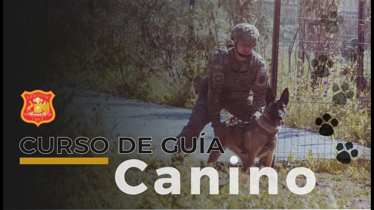 Curso de Guía Canino 2023
