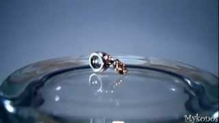 Pandora Star Of David Charm 790271