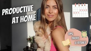 TIPS FOR STAYING PRODUCTIVE AT HOME || SOFIA EVE