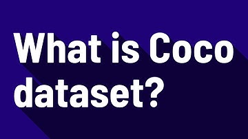 What is Coco dataset?
