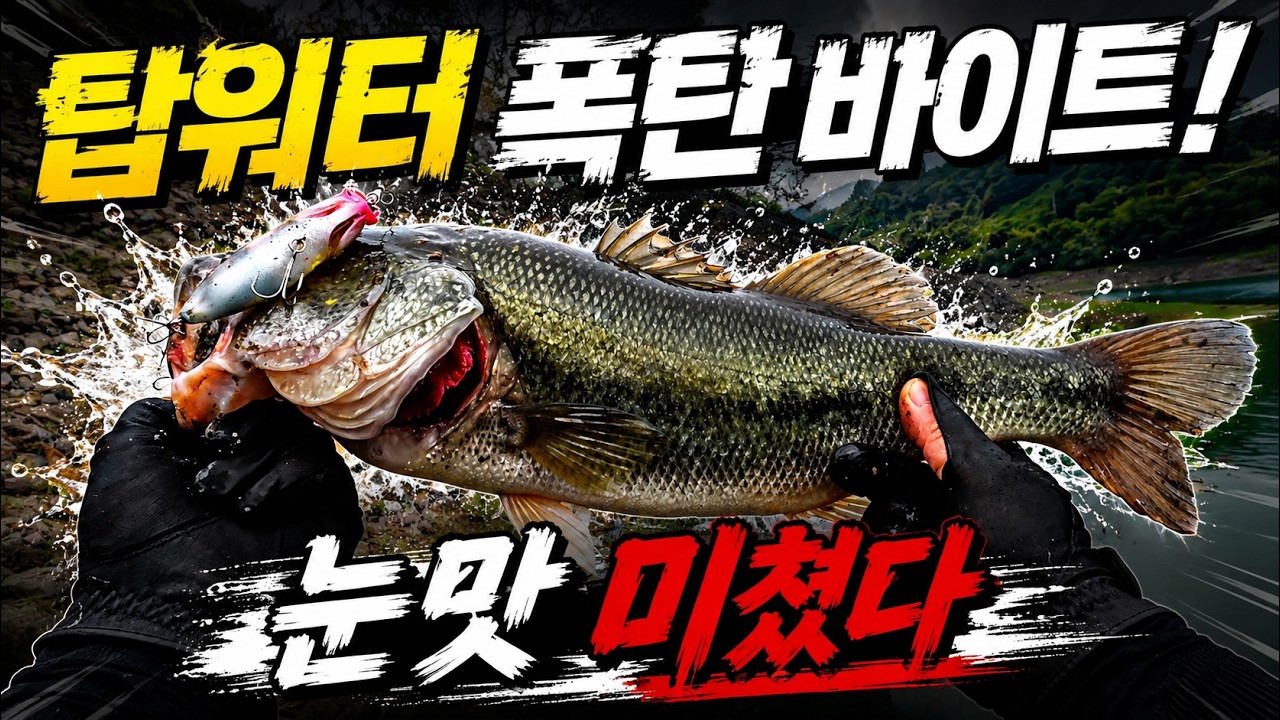 탑워터 폭탄 바이트! 눈앞에서 터진 빅배스 입질 (포인트 공개)