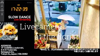 【Mon,05/13/2024 Livecamera at the florist】2 スローダンス SLOWDANCE 等々力 尾山台 世田谷 Setagaya 東京 Tokyo 日本 Japan