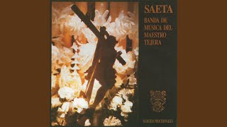 Video thumbnail of "Banda de Musica del Maestro Tejera - La Saeta"
