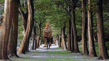 Chase Down Dinosaur Scene + CycleGAN