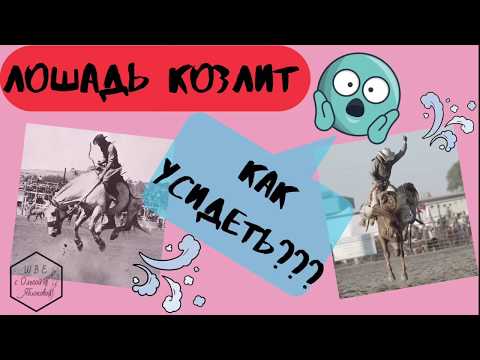 ЛОШАДЬ КОЗЛИТ! КАК УСИДЕТЬ?