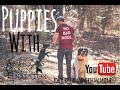 How to stop dogs from jumping on everyone - Puppy Training with America's Canine Educator How to stop dogs from jumping on everyone - Puppy Training with America's Canine Educator