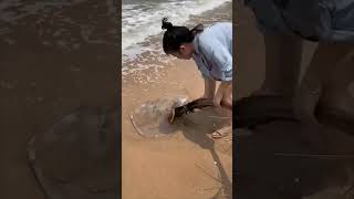 Lady Rescuing A Stranded Rhopilema Nomadica