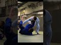 Stop passing guard #jiujitsu #grappling #combatsports