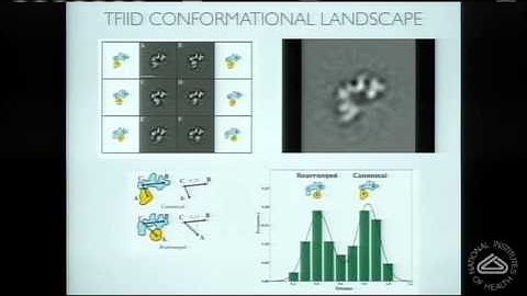 Architecture, Assembly and Dynamics of Molecular Machines Regulating Eukaryotic Gene Transcription