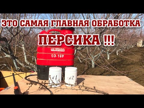 Основная и самая главная обработка персика!!!