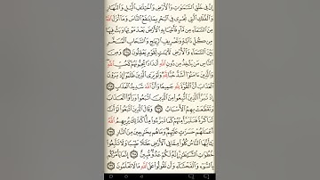 ماهر المعيقلي سورة البقرة مكتوبة صفحة 25 مصحف المدينة المنورة جودة عالية