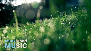 Soothing music for relaxing and meditation. Calm and relax
