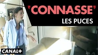 Les Puces - Connasse