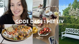 GODE DAGE I MIT LIV; vlog