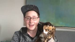 Jasper M  Client Testimonial   The Comforted Kitty by The Comforted Kitty 114 views 2 years ago 2 minutes, 5 seconds