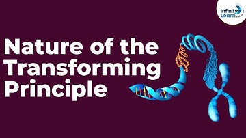 Genetics - Nature of the Transforming Principle - Lesson 13 | Don