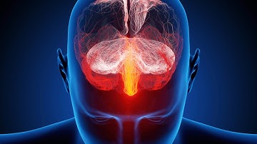 NEOCORTEX MAXIMUM BRAIN ACTIVATION.