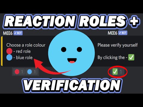 2021 How to make MEE6 REACTION ROLES + verification system (Easy Tutorial)