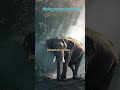 L'homme qui a essayé de détruire la Ka'ba. partie 3. #islamicvideo #islam