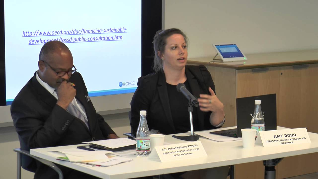 United Nations CDP Panel Discussion - 21 July 2016 - Amy Dodd - YouTube