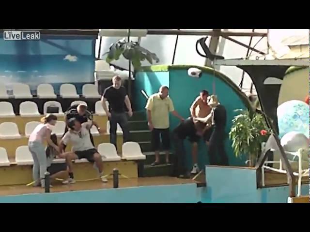Bild från Tre Ryssar väljer fel swimmingpool