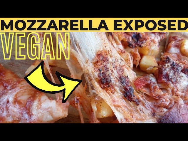 HOW TO MAKE VEGAN MOZZARELLA CHEESE (The Lord Of The Vegan Mozzarella)