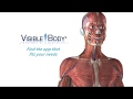 Visible body  guarda la stupefacente anatomia in 3d