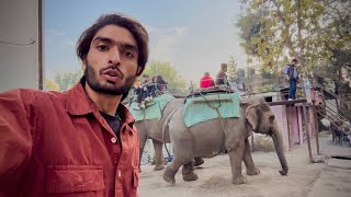 🐘Yaha Hoti Hai Haathi Ki Sawari | Amazing Experience	😍