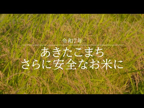 あきたこまちRを動画で詳しく解説します！（ダイジェスト版） - YouTube