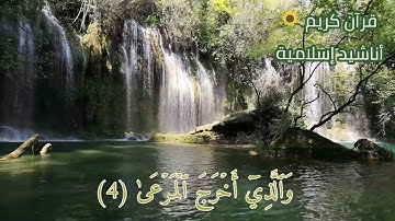 القارئ أسامة خياط 🕊 تلاوة هادئة 🍃 من سورة الأعلي 🌿🌿
