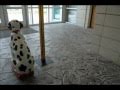 Salzano Custom Concrete, Before and After Salzano Custom Concrete, Before and After