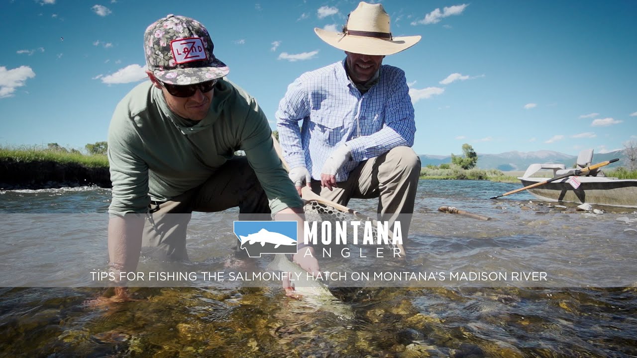 Tips for Fishing the Salmonfly Hatch on Montana's Madison River