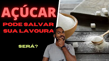 Como aplicar herbicida em café jovem?