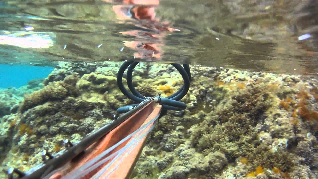 Agguato al Cormorano