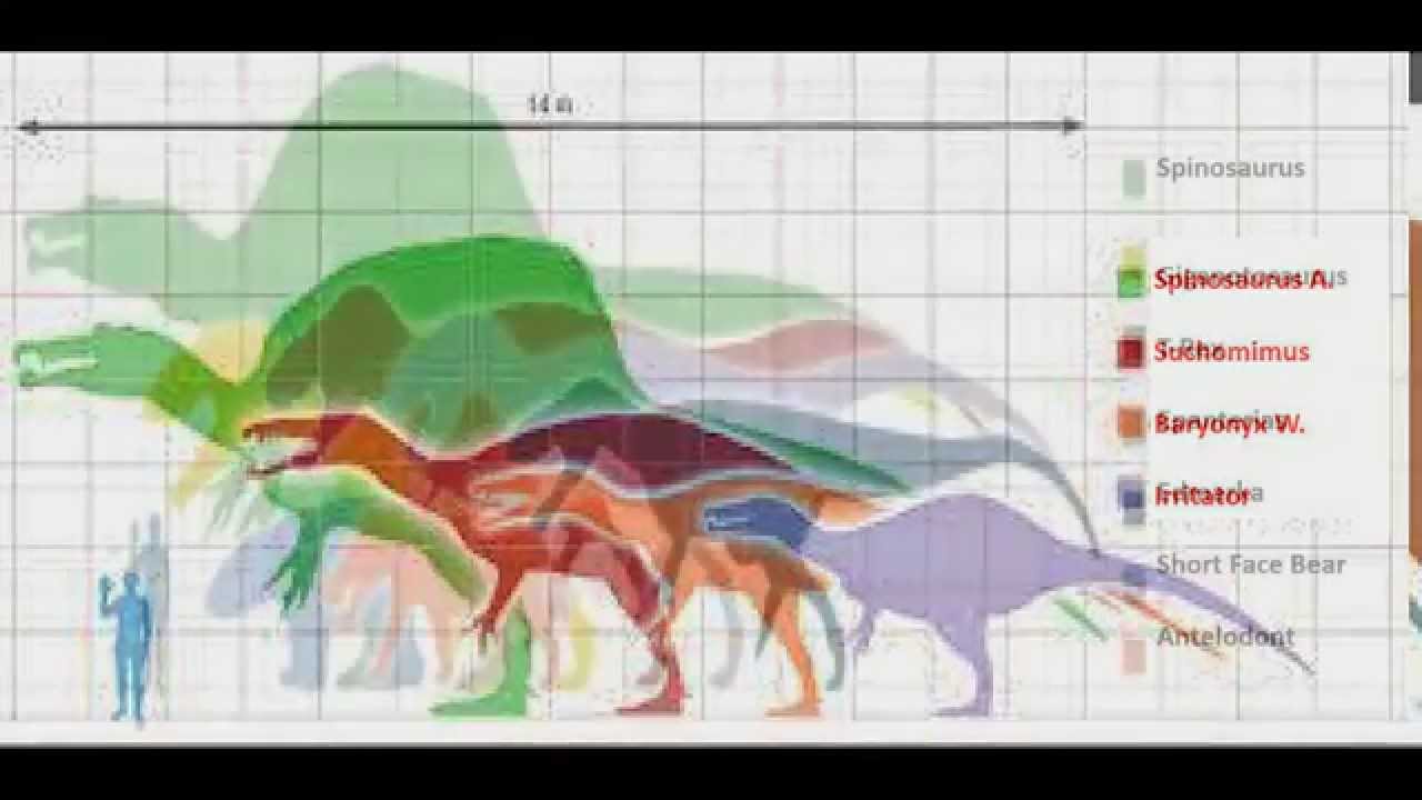 Dinosaur Sizes Comparison Chart