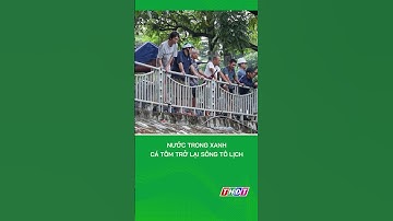 Nước trong xanh, cá tôm trở lại sông Tô Lịch khiến người dân hào hứng #shorts