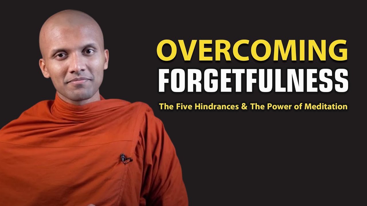 Overcoming Forgetfulness: The Five Hindrances & The Power of Meditation