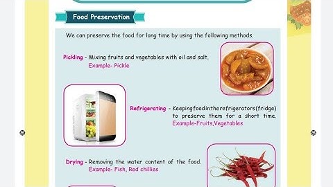 4 std Science / Food / Term 2 / unit 1 / Part 2 / Samacheer kalvi/ in Tamil.