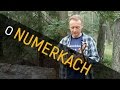 Leśne numerki - o Lesie #01