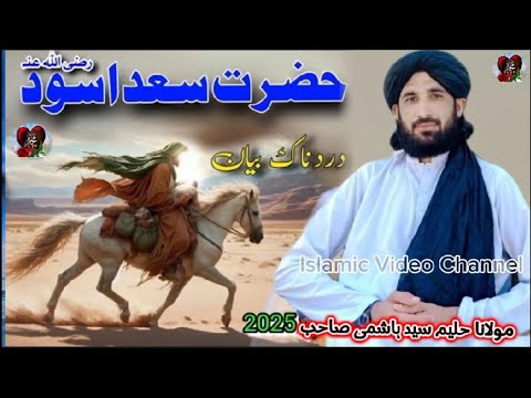       2025      مولانا سید حلیم ہاشمی بیان