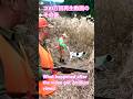 ポインターのポイント!200万回再生動画のその後・What happened after the video got 2million views!
