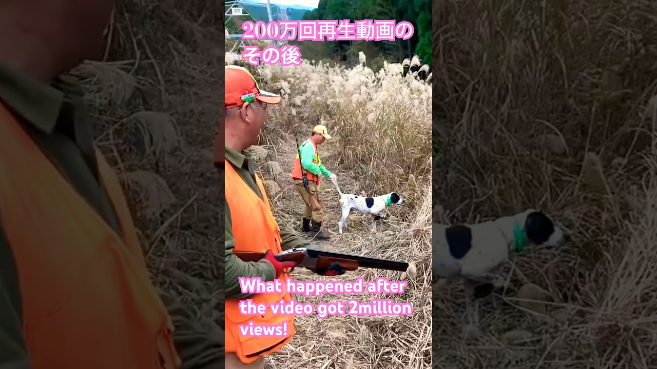 ポインターのポイント!200万回再生動画のその後・What happened after the video got 2million views!