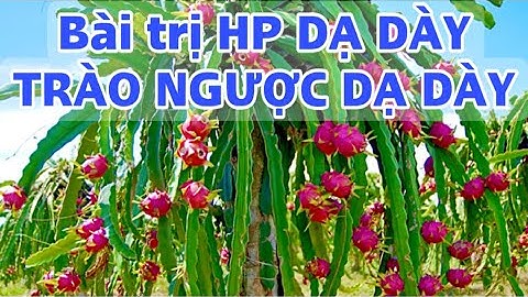 Bài trị HP Dạ Dày, Trào Ngược Dạ Dày. PHAN HẢI Channel