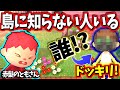 【あつ森】検証!知らない人が島にいたらどんな反応をするのか!?【よっぴ~】【あつまれどうぶつの森】
